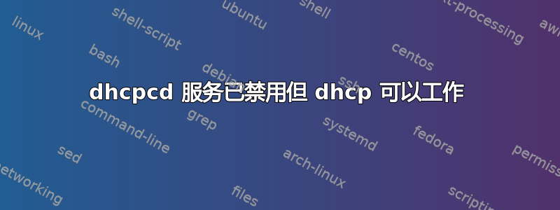 dhcpcd 服务已禁用但 dhcp 可以工作