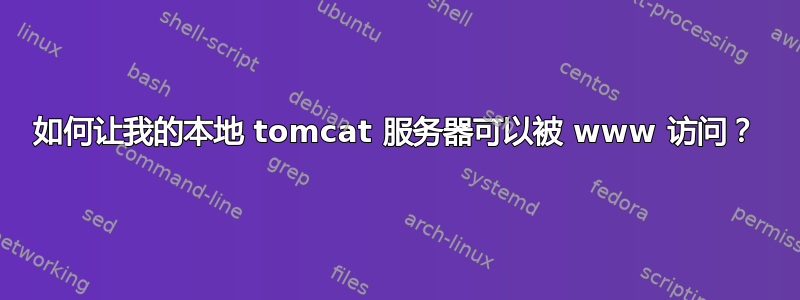 如何让我的本地 tomcat 服务器可以被 www 访问？