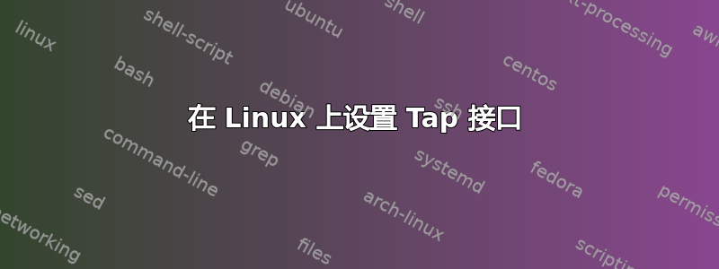 在 Linux 上设置 Tap 接口