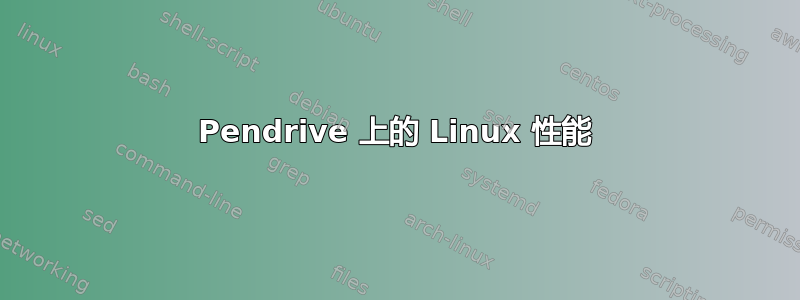 Pendrive 上的 Linux 性能