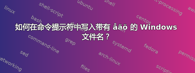 如何在命令提示符中写入带有 åäö 的 Windows 文件名？