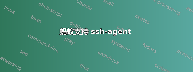 蚂蚁支持 ssh-agent