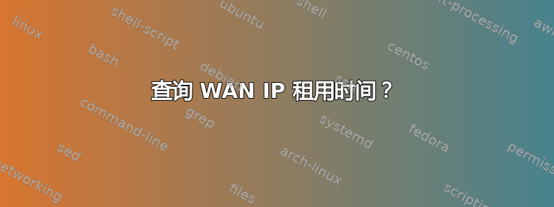 查询 WAN IP 租用时间？