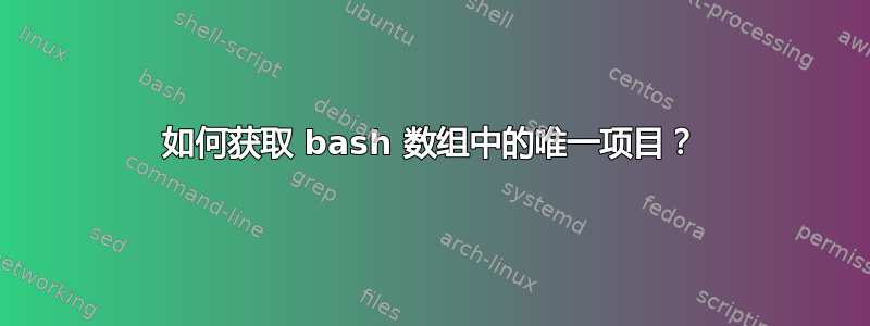 如何获取 bash 数组中的唯一项目？