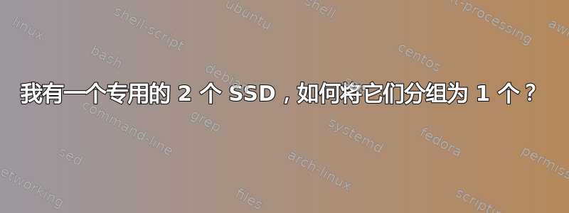 我有一个专用的 2 个 SSD，如何将它们分组为 1 个？