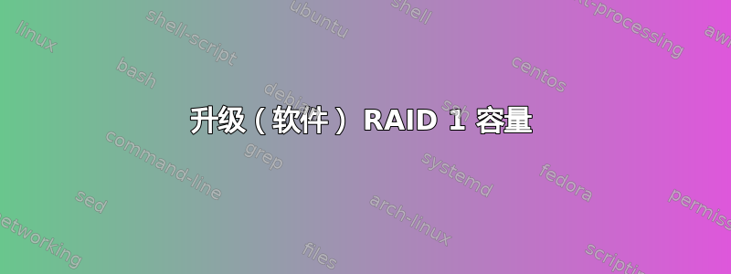 升级（软件） RAID 1 容量