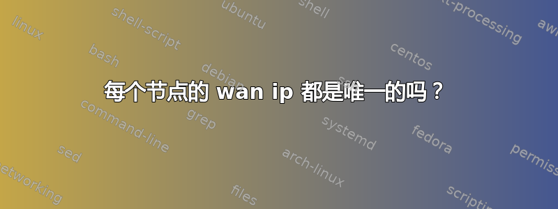 每个节点的 wan ip 都是唯一的吗？