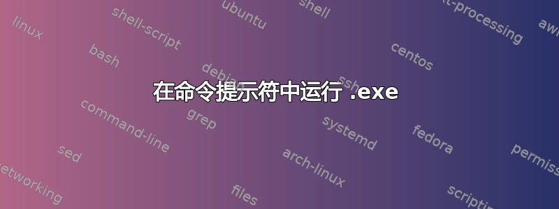 在命令提示符中运行 .exe