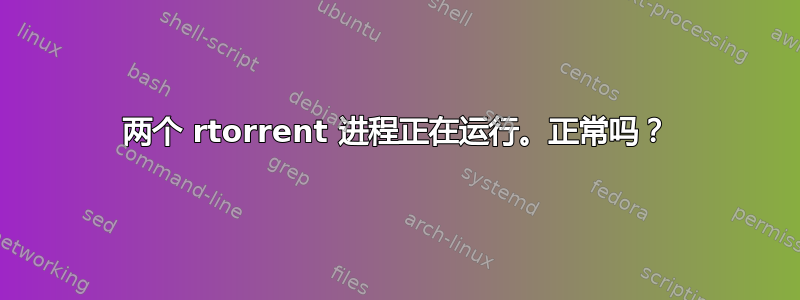 两个 rtorrent 进程正在运行。正常吗？