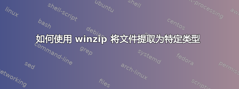 如何使用 winzip 将文件提取为特定类型