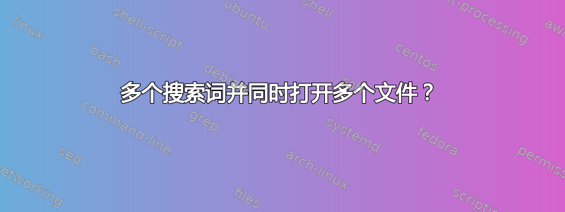 多个搜索词并同时打开多个文件？