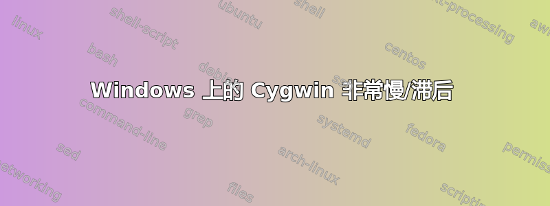 Windows 上的 Cygwin 非常慢/滞后