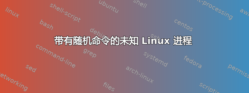 带有随机命令的未知 Linux 进程