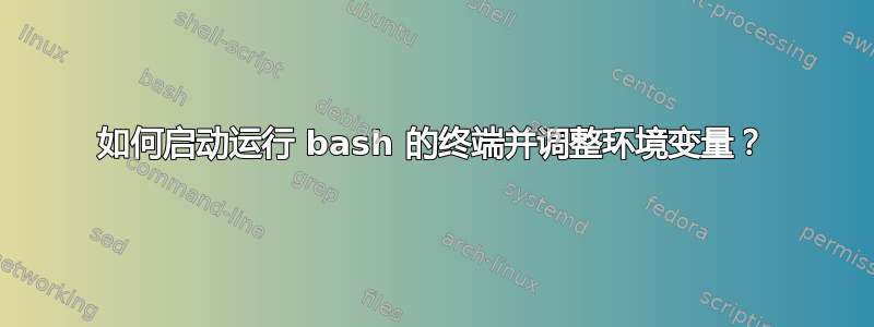 如何启动运行 bash 的终端并调整环境变量？