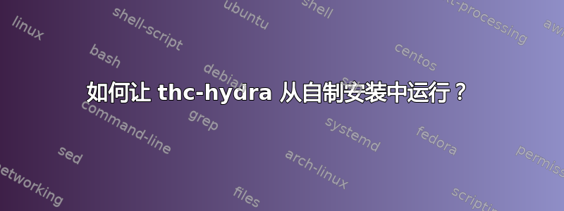 如何让 thc-hydra 从自制安装中运行？