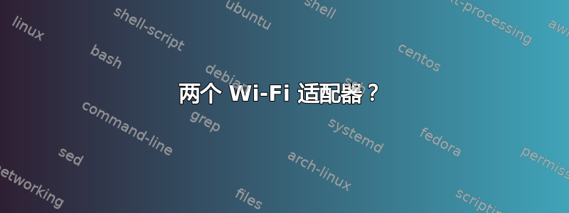 两个 Wi-Fi 适配器？