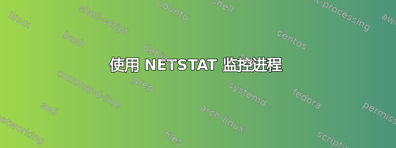 使用 NETSTAT 监控进程