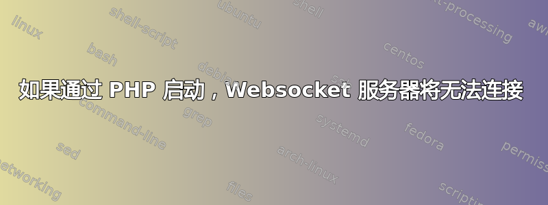 如果通过 PHP 启动，Websocket 服务器将无法连接