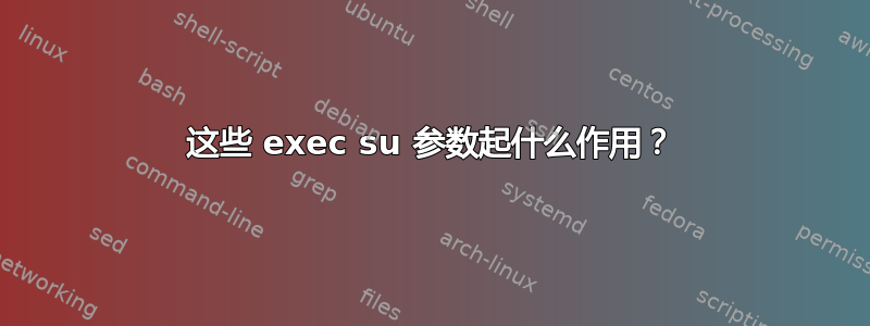 这些 exec su 参数起什么作用？