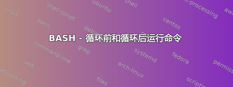 BASH - 循环前和循环后运行命令