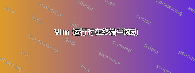 Vim 运行时在终端中滚动