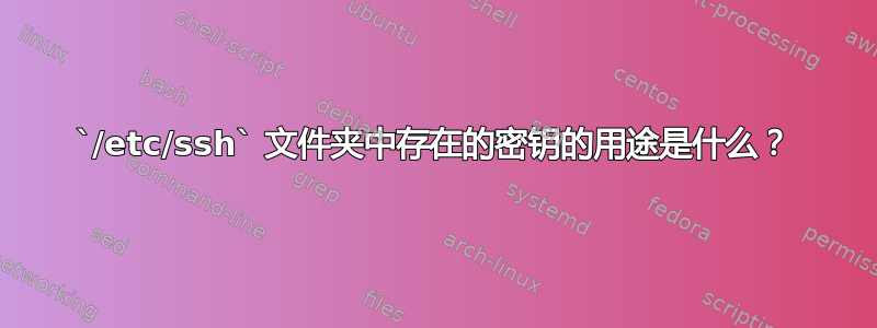 `/etc/ssh` 文件夹中存在的密钥的用途是什么？