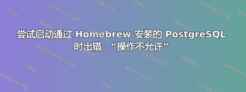 尝试启动通过 Homebrew 安装的 PostgreSQL 时出错：“操作不允许”