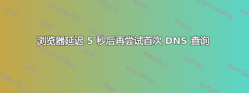 浏览器延迟 5 秒后再尝试首次 DNS 查询