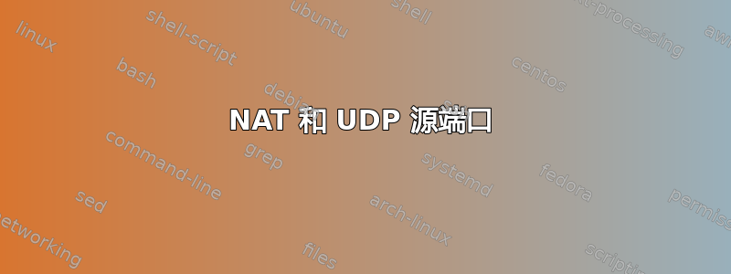 NAT 和 UDP 源端口