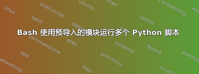 Bash 使用预导入的模块运行多个 Python 脚本