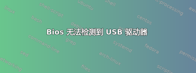 Bios 无法检测到 USB 驱动器