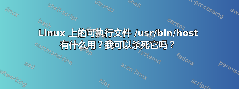 Linux 上的可执行文件 /usr/bin/host 有什么用？我可以杀死它吗？