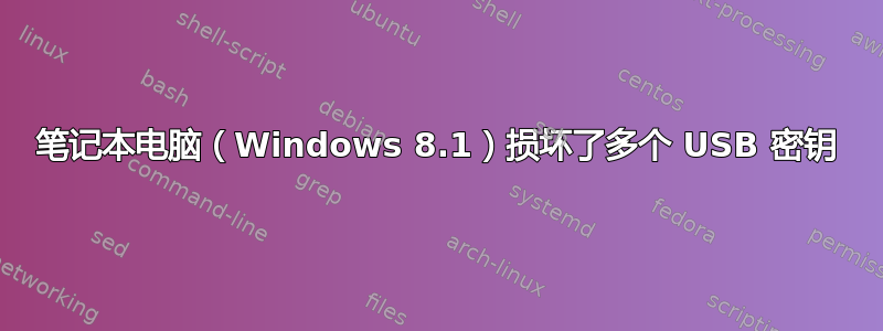 笔记本电脑（Windows 8.1）损坏了多个 USB 密钥