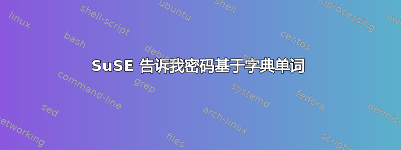 SuSE 告诉我密码基于字典单词