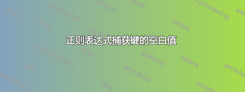 正则表达式捕获键的空白值