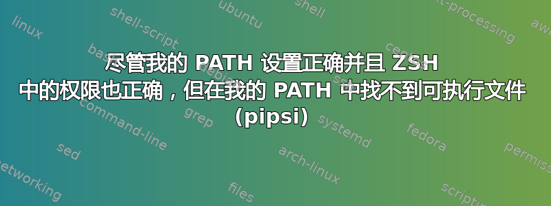 尽管我的 PATH 设置正确并且 ZSH 中的权限也正确，但在我的 PATH 中找不到可执行文件 (pipsi)