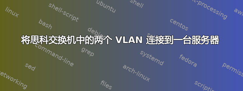 将思科交换机中的两个 VLAN 连接到一台服务器