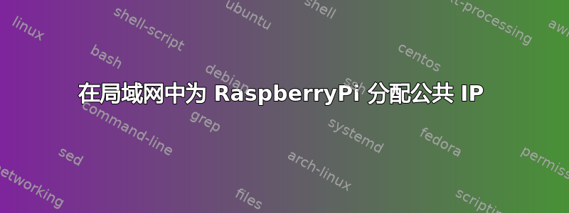 在局域网中为 RaspberryPi 分配公共 IP