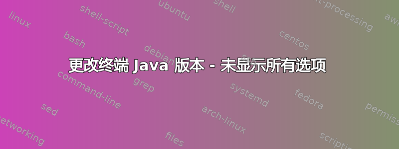 更改终端 Java 版本 - 未显示所有选项