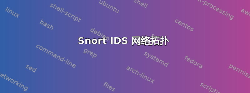 Snort IDS 网络拓扑