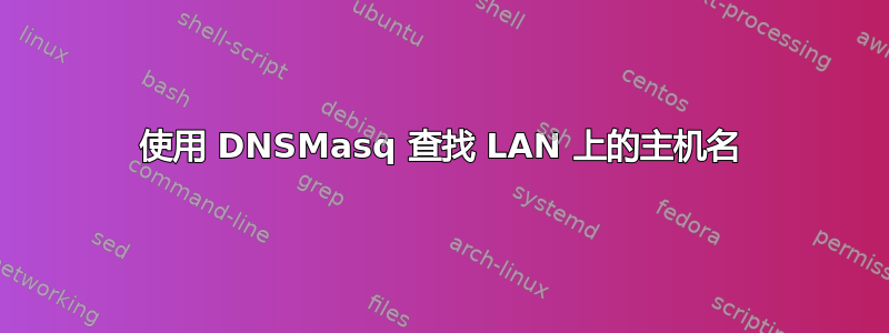 使用 DNSMasq 查找 LAN 上的主机名