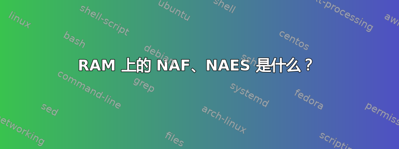 RAM 上的 NAF、NAES 是什么？