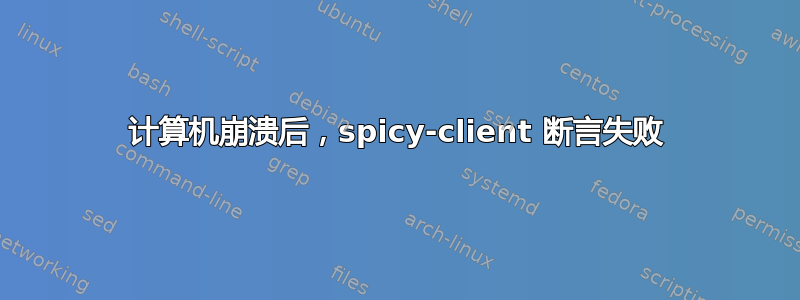 计算机崩溃后，spicy-client 断言失败