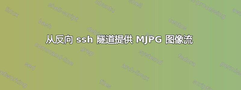 从反向 ssh 隧道提供 MJPG 图像流