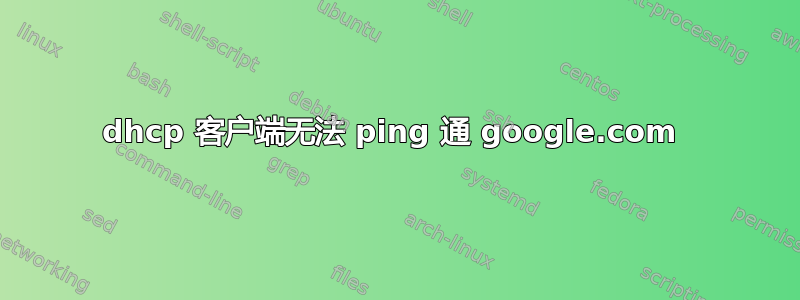 dhcp 客户端无法 ping 通 google.com 