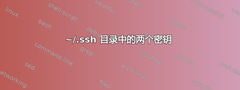 ~/.ssh 目录中的两个密钥