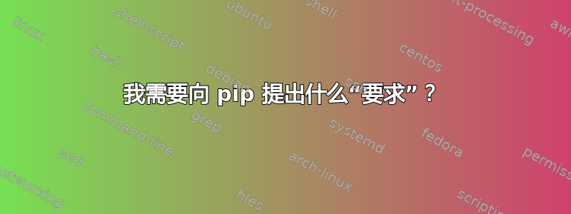 我需要向 pip 提出什么“要求”？