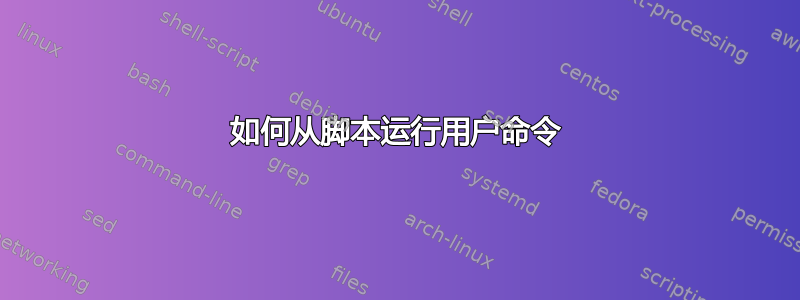 如何从脚本运行用户命令