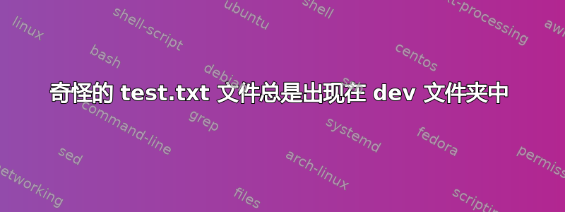 奇怪的 test.txt 文件总是出现在 dev 文件夹中