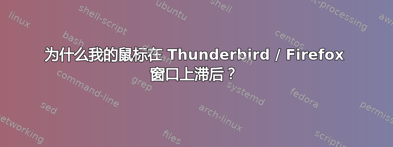 为什么我的鼠标在 Thunderbird / Firefox 窗口上滞后？